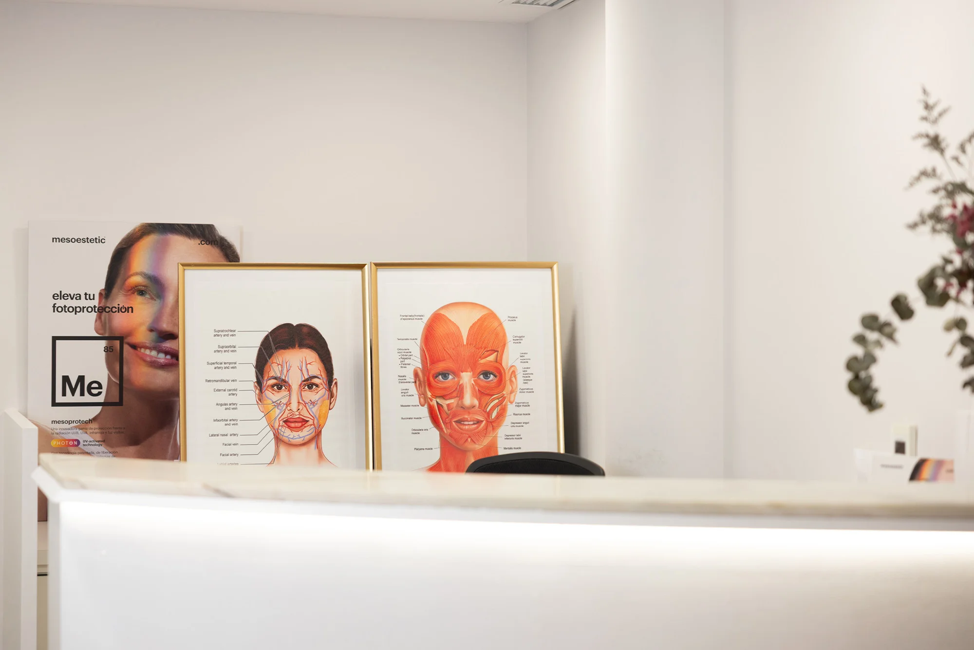 Recepción de Irina Clinic en el Passeig de Pere III, Manresa