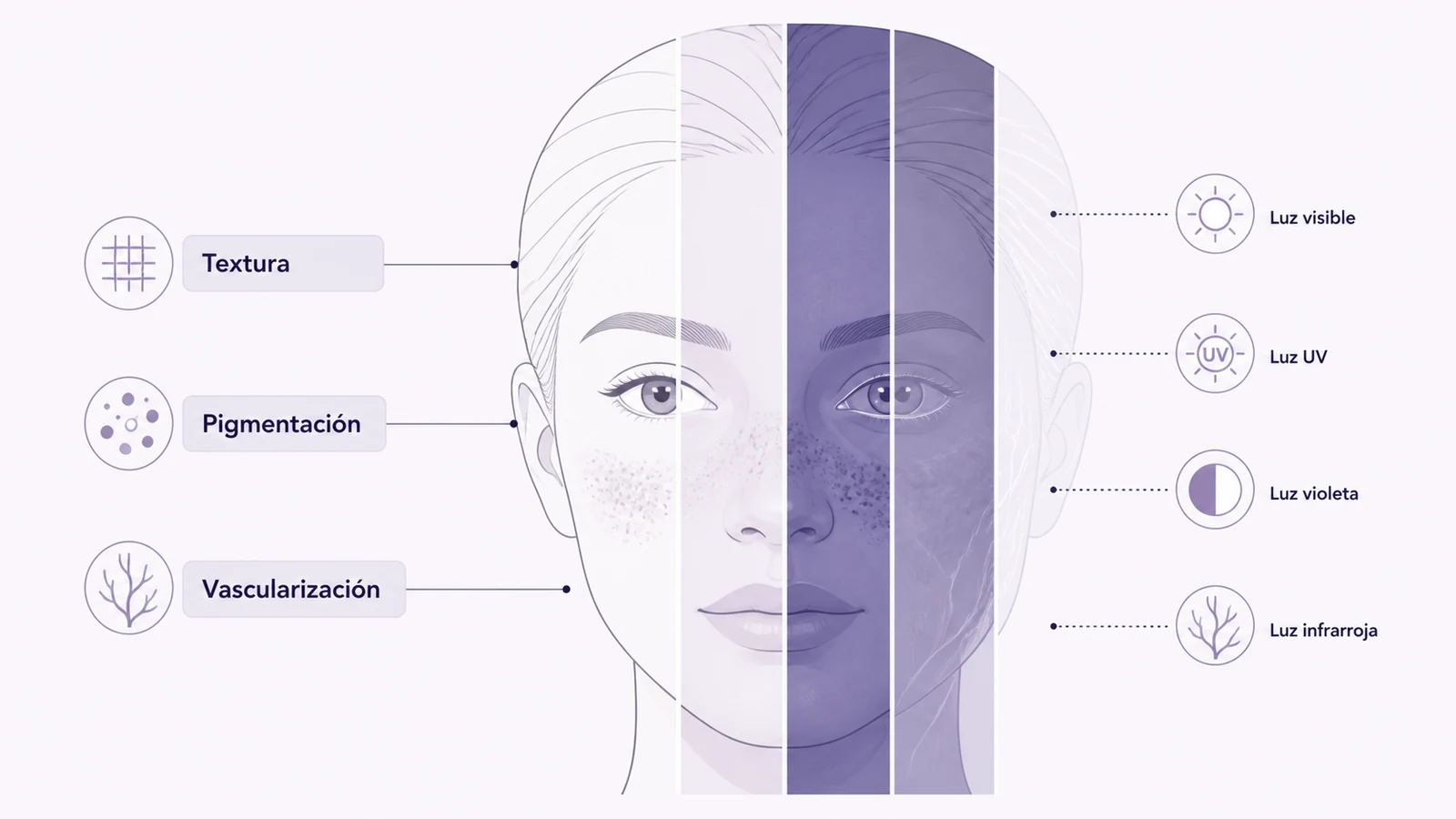 Ilustración médica sobre análisis fotográfico multiespectral en diagnóstico facial y capilar